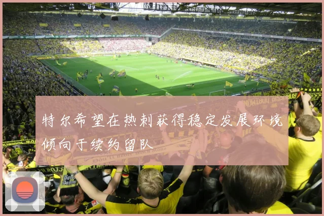 特尔希望在热刺获得稳定发展环境倾向于续约留队